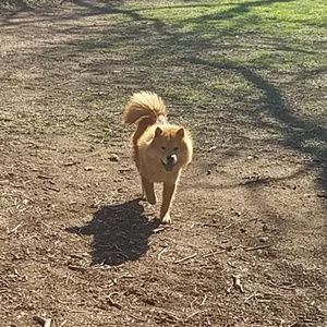 Meet your Posher, Rick